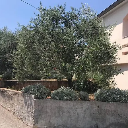 Ruza Apartment