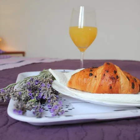 Apartament Ruza